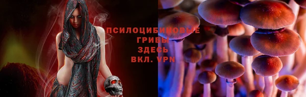 прущая мука Инта