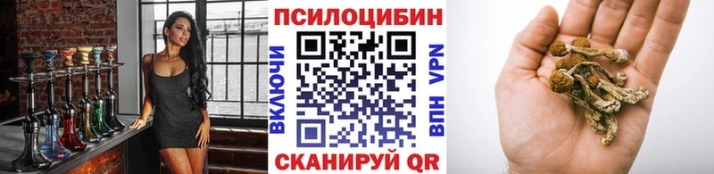 Купить закладки  Красноперекопск  Галлюциногенные грибы прущие грибы 
